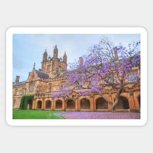 Spring Colour at Sydney Uni Sticker